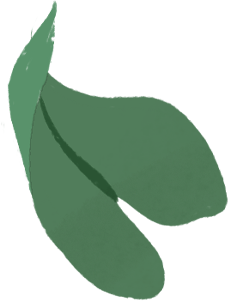 Obok tego samego portretu pojawia się rysunek obudowy MacBooka Air; z jego ekranu wyfruwają zielone liście.