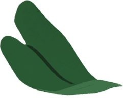 Obok tego samego portretu pojawia się rysunek obudowy MacBooka Air; z jego ekranu wyfruwają zielone liście.