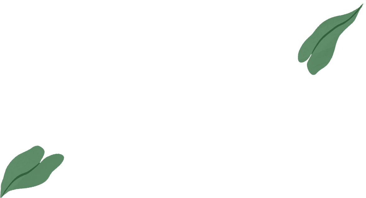 Obok tego samego portretu pojawia się rysunek obudowy MacBooka Air; z jego ekranu wyfruwają zielone liście.