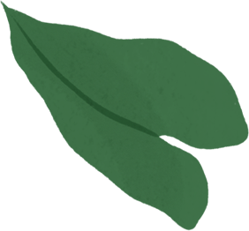 Obok tego samego portretu pojawia się rysunek obudowy MacBooka Air; z jego ekranu wyfruwają zielone liście.