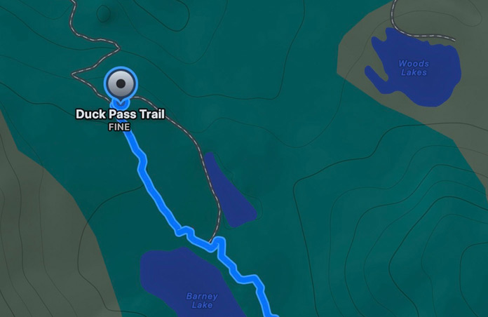 Mappa di percorsi personalizzati, durata prevista e distanza dalla posizione