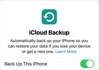 Scherm met datagebruik van iCloud-reservekopie